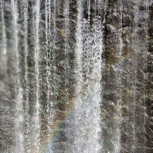 Meet your Posher, Sal